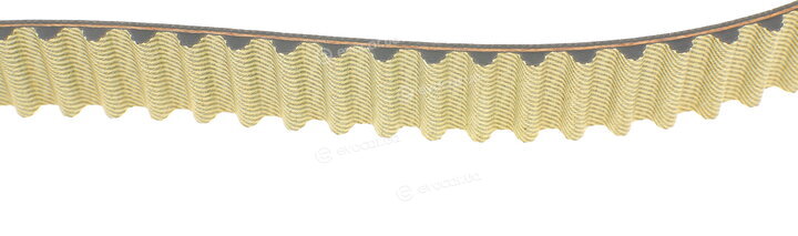 Dayco KTBWP8841