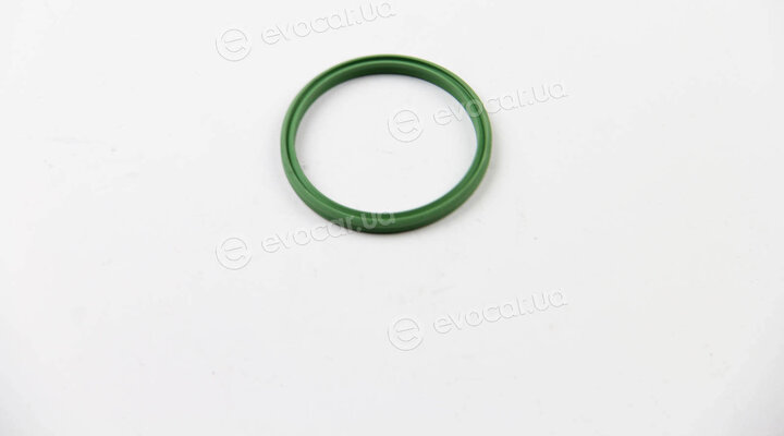 Rapro R25610