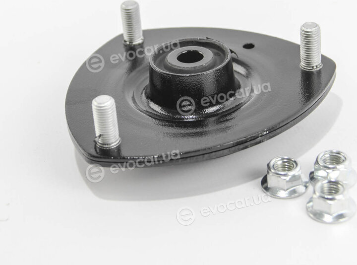 Raiso RC05403