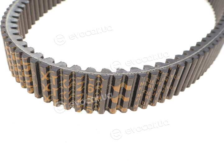 Dayco XTX2262