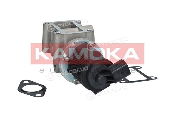 Kamoka 19013
