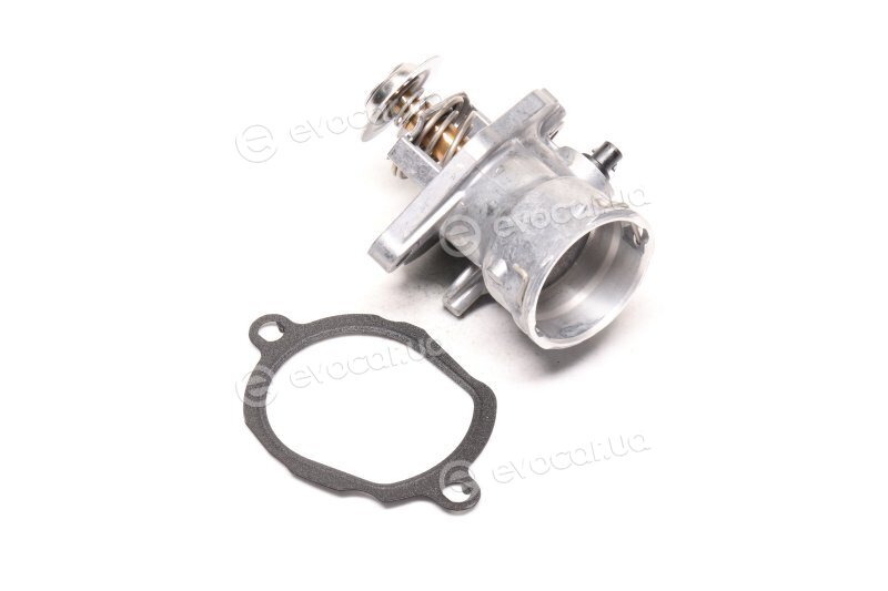 Wahler / BorgWarner 4833.100D