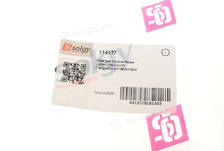 Solgy 114177