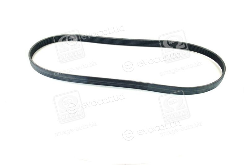 SKF VKMV 6PK1180