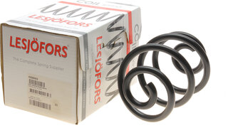 Lesjofors 4208403