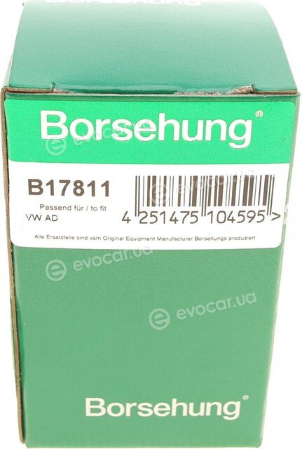 Borsehung B17811