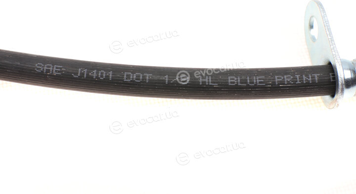 Blue Print ADT353196