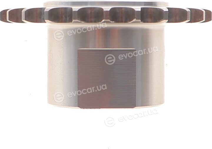 Motive TCK250