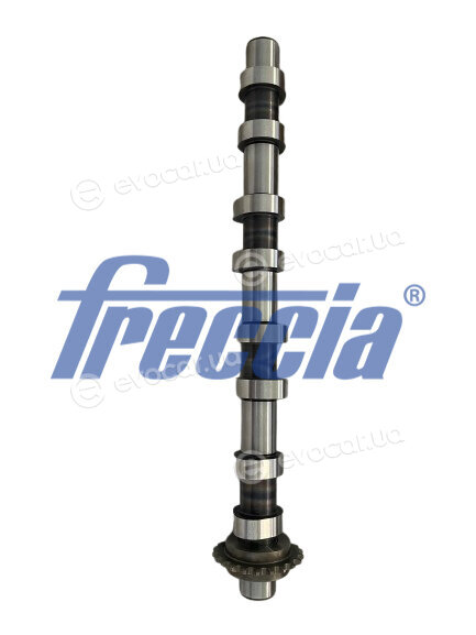 Freccia CM05-2418