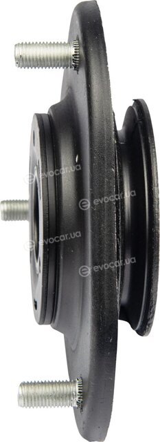 Raiso RC01009