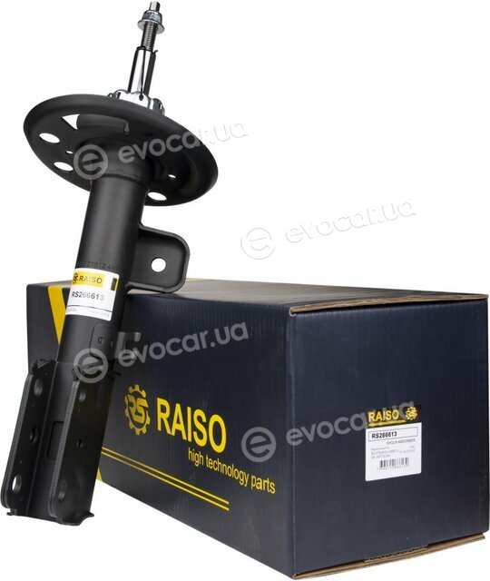 Raiso RS266613