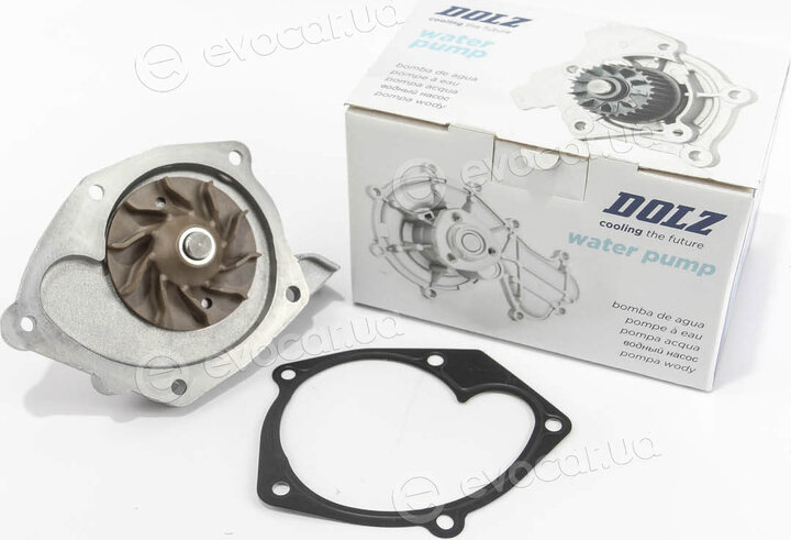 Dolz R229