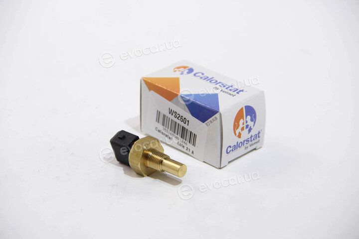 Vernet / Calorstat WS2601