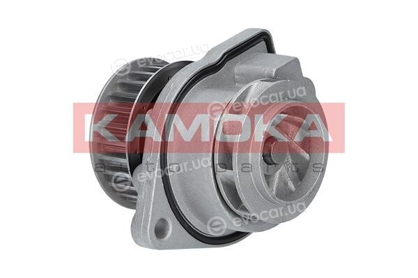 Kamoka T0248