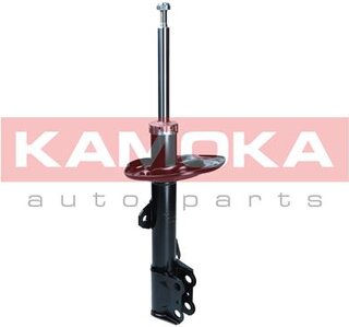Kamoka 2001119