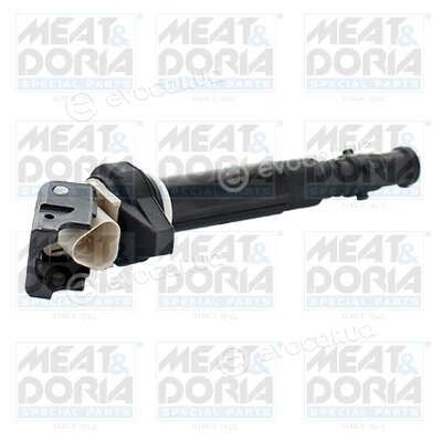 Meat & Doria 10796