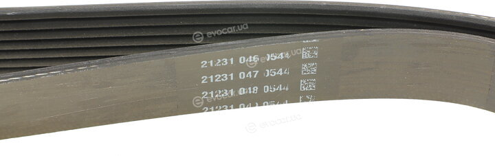 Continental 7PK2842
