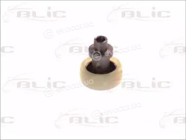 Blic 6003-00-0058P