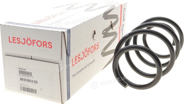 Lesjofors 4095164
