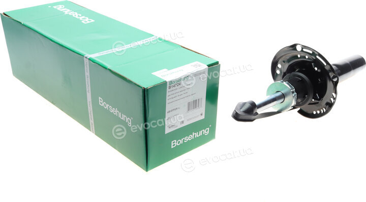 Borsehung B14724