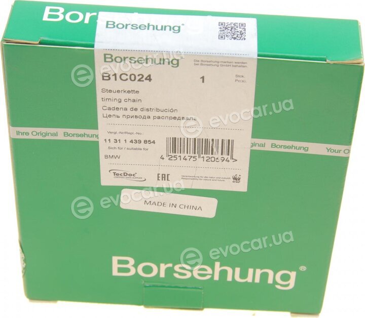 Borsehung B1C024