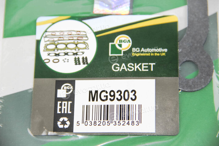 BGA MG9303