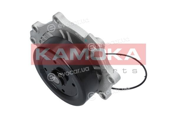 Kamoka T0176