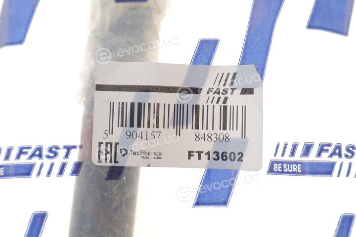Fast FT13602