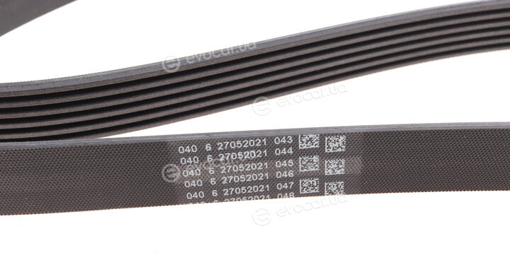 Continental 6PK1538