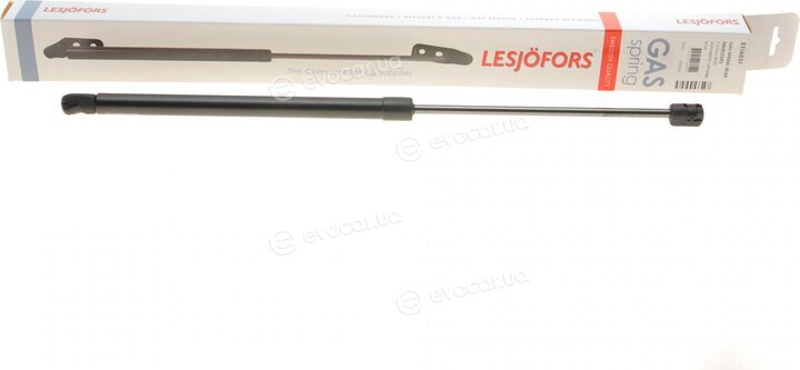 Lesjofors 8156837