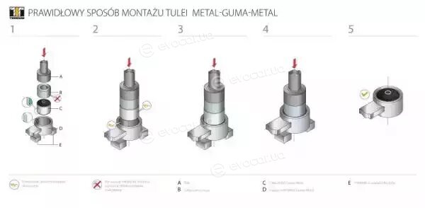Tedgum TED13460