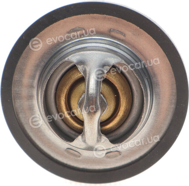 Motorad 443-89K