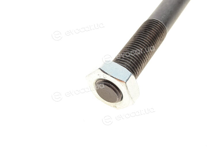 Solgy 205056