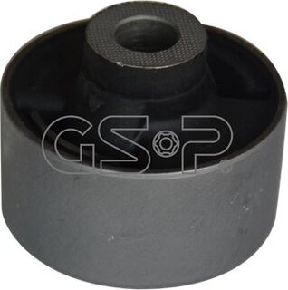 GSP 513878