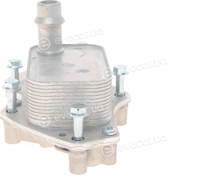 Van Wezel 37013703