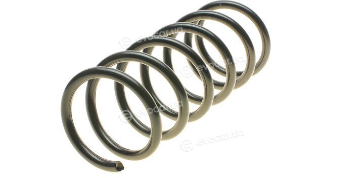 Lesjofors 4214003