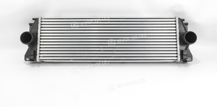 Goodrem RH0216
