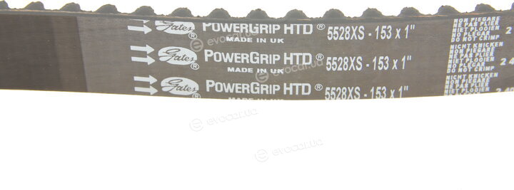 Gates K015528XS