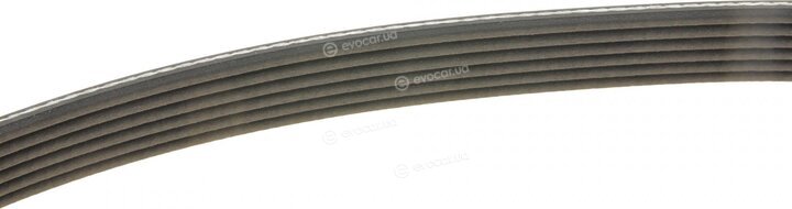 Dayco 6PK1830