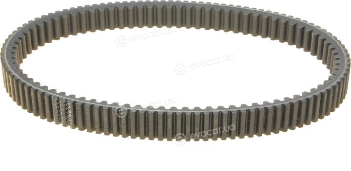 Dayco XTX2236