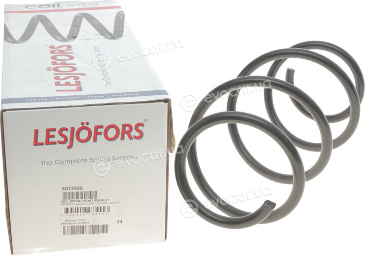 Lesjofors 4072936