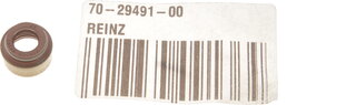 Victor Reinz 70-29491-00
