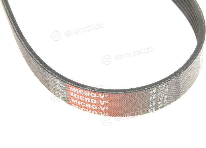 Gates K016PK1053