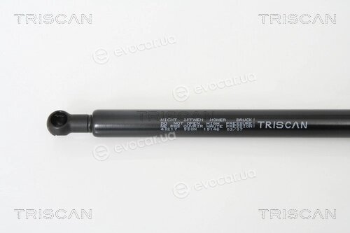 Triscan 8710 43217