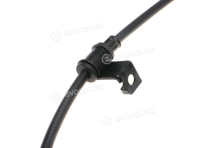 Blue Print ADG046220