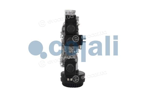 Cojali 2209448