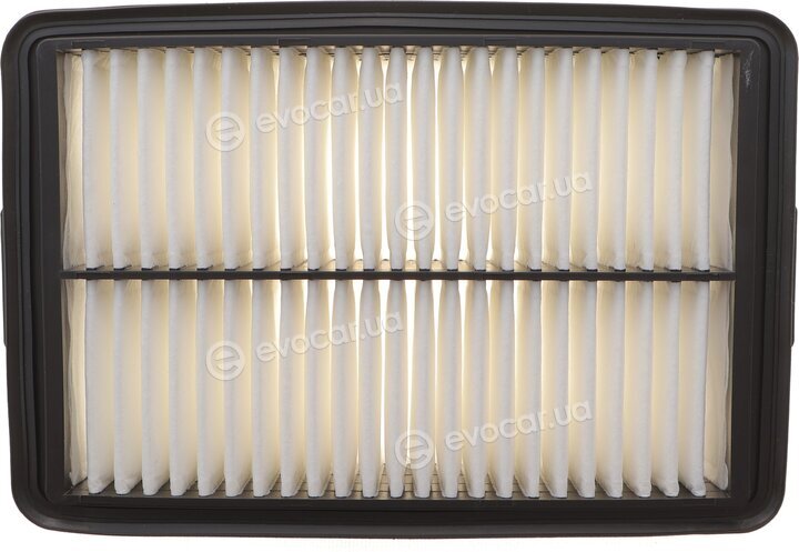 Solgy 103174