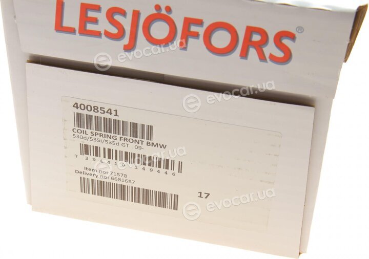 Lesjofors 4008541