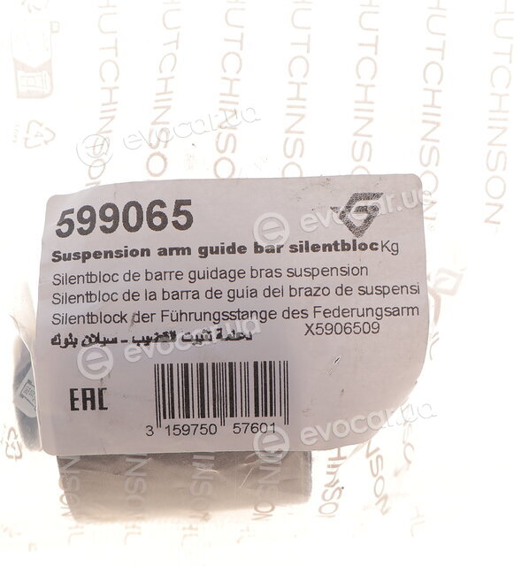 Hutchinson 599065