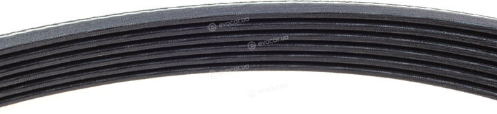 Dayco KPV451